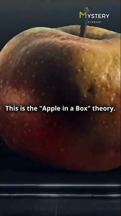Apple in a box theory