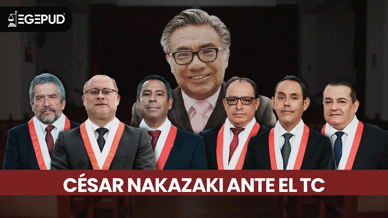 Informe de César Nakazaki ante el Tribunal Constitucional (caso Alex Kouri)