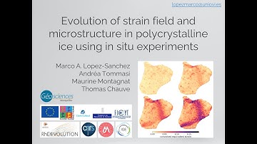 Evolution of strain field and microstructure in polycrystalline ice using in situ experiments