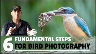 SIX FUNDAMENTAL steps to take HIGH QUALITY bird photographs. screenshot 5