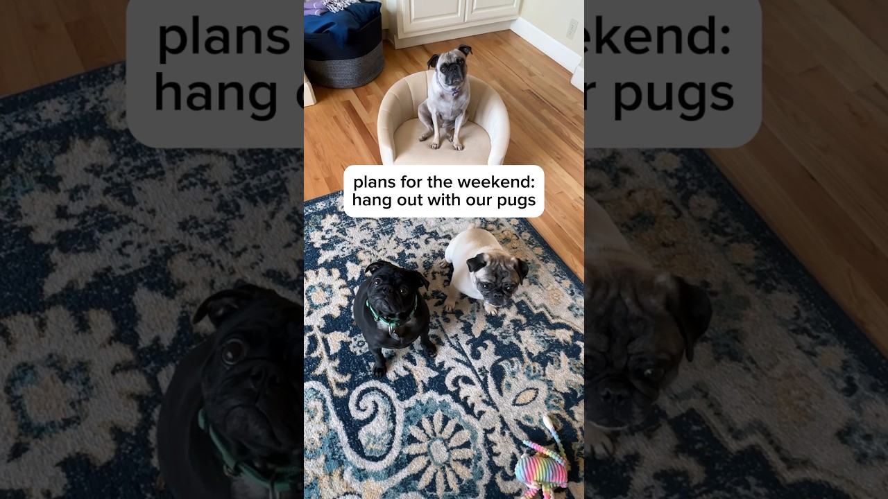 Sounds like a perfect weekend ❤️ 