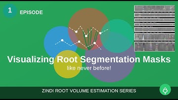[Zindi CGIAR 1] Unveiling Hidden Patterns: Visualizing Root Segmentation Masks Like Never Before!
