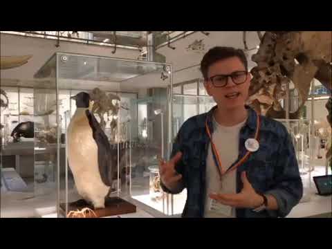 تصویری: چگونه می توان نمایشگاه ها را در موزه جانورشناسی شیک سیمفروپول مشاهده کرد