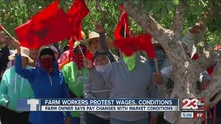 Farm workers protest wages, conditions