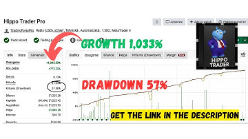 Hippo Trader Pro MT4 EA V3.1 – High-Frequency Scalping EA for EURUSD (M1)