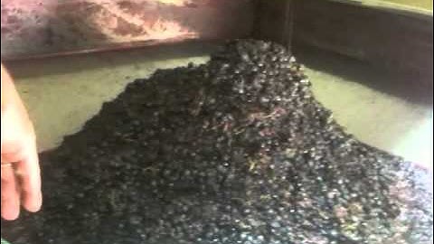 Vinification using the law of gravity - Nemeion Estate, Nemea, Greece