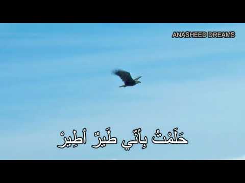 النص الشعري رحلة حلم المستوى السادس ابتدائي أنشاد أناشيد دريم