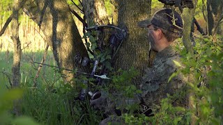 Bowhunting Turkeys without a Ground Blind