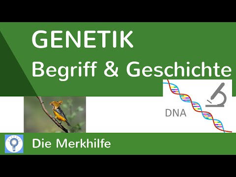 Video: Was Ist Genetik?