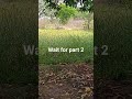 Medak district toopran mandal.to 6 km only 6.acar land for acar 70 laksh negotiable 9396449113