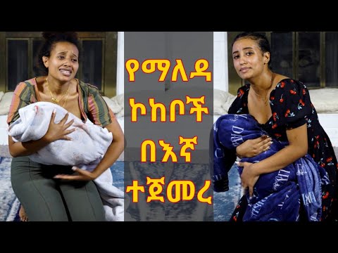 ቪዲዮ: አዘምን-ከ ‹ንዑስ-ዜሮ› ሙቀቶች ታደሰ አዲስ ቤት አገኘ