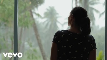 Robert Steven Lewison - The Long Journey Home