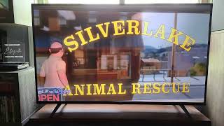 Bolt 2008 - Disney Channel Intro