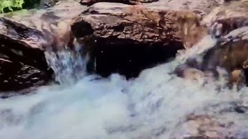 الحزب 14 من سورة الأنعام( من الآية 59 إلى الآية 69) برواية الإمام ورش عن نافع @