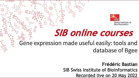 Data integration in Bgee (3 of 5)