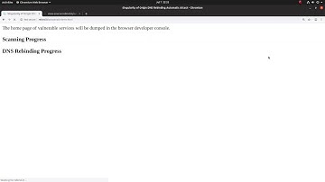 Automating DNS Rebinding using Singularity on Chromium