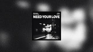 Felix Cartal, Karen Harding - Need Your Love (Piano Version) Resimi