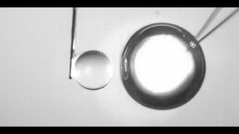 “Particle motion induced by a cavitation bubble” Phys. Rev. Lett. 114, 214501 (2015)