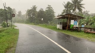 Heavy Rain and Powerful Thunderstorm Accompanied by Strong Winds in the Village | 3 Hour Video