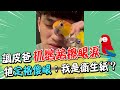 調皮爸抓鸚鵡擦眼淚 牠定格傻眼：我是衛生紙？@CTILINE