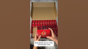 Christmas Tree Advent Calendar 2024–1088 Piece Countdown with LED Lights | Ideal for Teens & Adults!