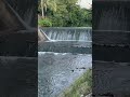 Sarap maligo sa dam🏊☺️