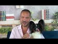 Empower Your Dog's True Potential and Find Peace Together!