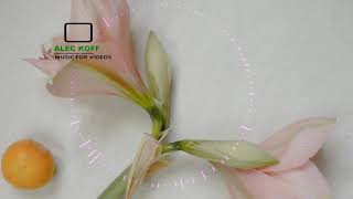 No Copyright Positive Soft Business Background Music Royalty Free