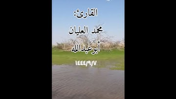 #تراويح_رمضان تلاوة جميلة تغذي الروح من آواخر سورة آل عمران.