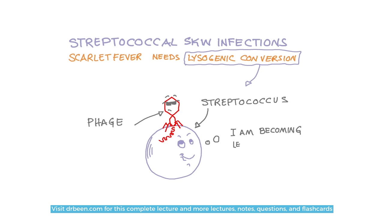 Kawasaki disease and toxic shock syndrome symptoms 'may be ...