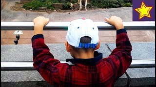 Развлечение для детей Зоопарк Животные. Игорюша в Москве Kids Zoo Animals Развлечение для детей Зоопарк Животные. Игорюша в Москве Kids Zoo Animals
