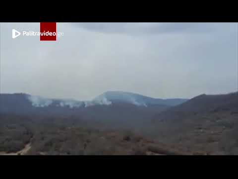 თელავში, იყალთოს ტყეში ხანძარია