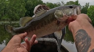 Beans from Drowning Creek Outdoors Takes on Jack from Low Country Legends in EPIC Bass Challenge! 🎣