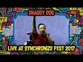 Shaggy Dog live at SynchronizeFest - 7 Oktober 2017