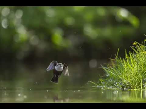 مجموعة سور من القرآن الكريم بصوت جميل جدا استمع اليها وأرح قلبك وعقلك 
