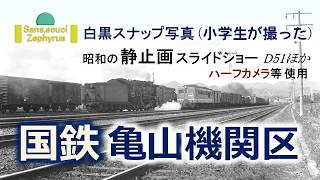 国鉄 亀山機関区 〔 白黒 スナップ写真・スライドショー 〕D51ほか
