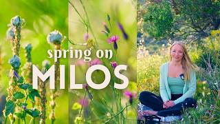 Travel vlog - Greek Island Life in Spring | Reflections & Slow Days - Milos Island