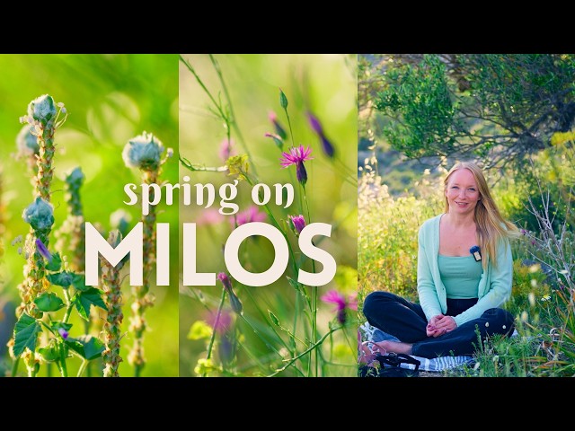Travel vlog - Greek Island Life in Spring | Reflections & Slow Days - Milos Island