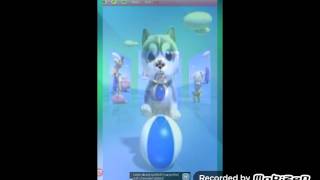 My talking puppy, illuminate confirmed screenshot 5