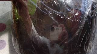 ヘルメット 追加画像 シールド ミラー レインボー クリヤー ブルー 適合