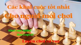 Cách khai cuộc tốt nhất cho người mới chơi - Luyện chơi cờ vua.