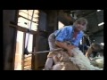 Miniature de la vidéo de la chanson It's Always Australia For Me