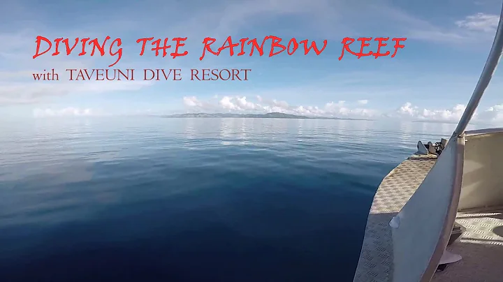 Diving the Spectacular Rainbow Reef with Taveuni D...
