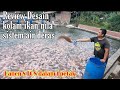 REVIEW KOLAM IKAN NILA AIR DERAS, 8 TON DALAM 1 PETAK