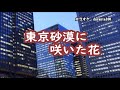 原曲・水田かおり・[東京砂漠に咲いた花]・cover上原孝義84・2011年11月リリース、