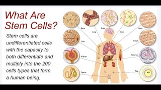 Revitalize Your Body From Within