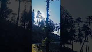 Home Town Pogal Paristan Ukhral Ramban Jammu And Kashmir