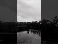 #funny  video #trending #shorts