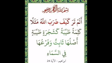 سورة ابراهیم آية 24