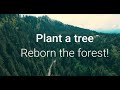 Plant a tree, reborn the forest!